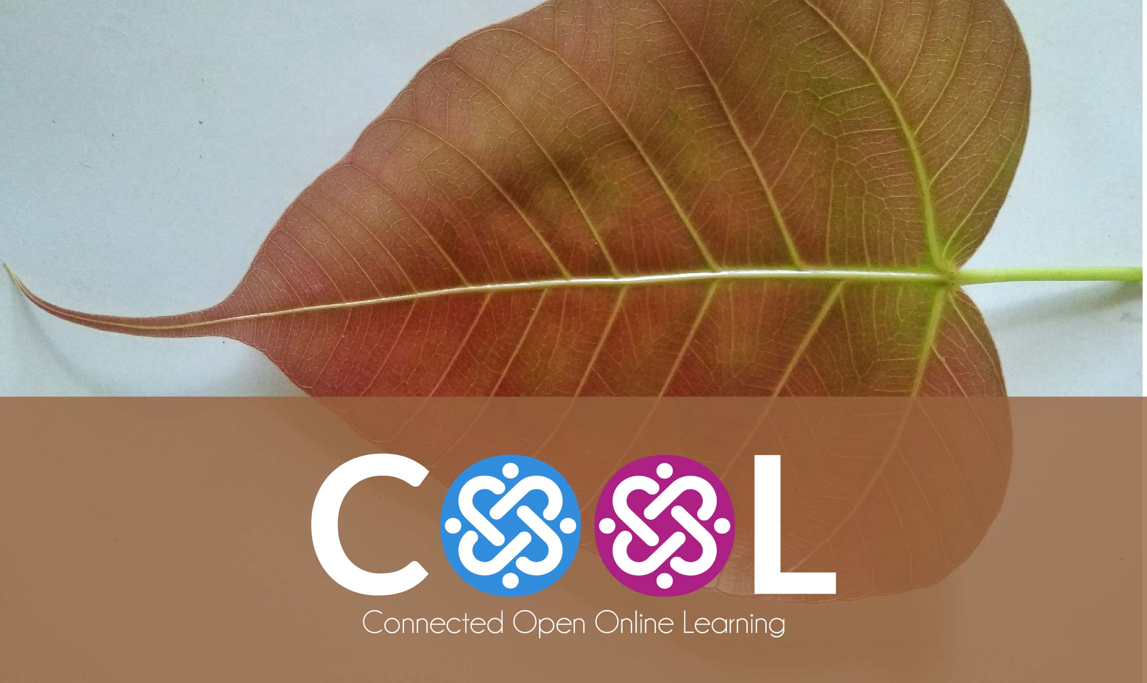 COOLSCI01 - विज्ञान शिक्षा के संसाधन - २०२० Hindi 2020_SCI_HI_COOL01